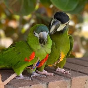 Meet your Posher, Mary